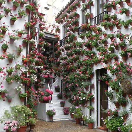 Appartement El Balcon De La Mezquita Córdoba